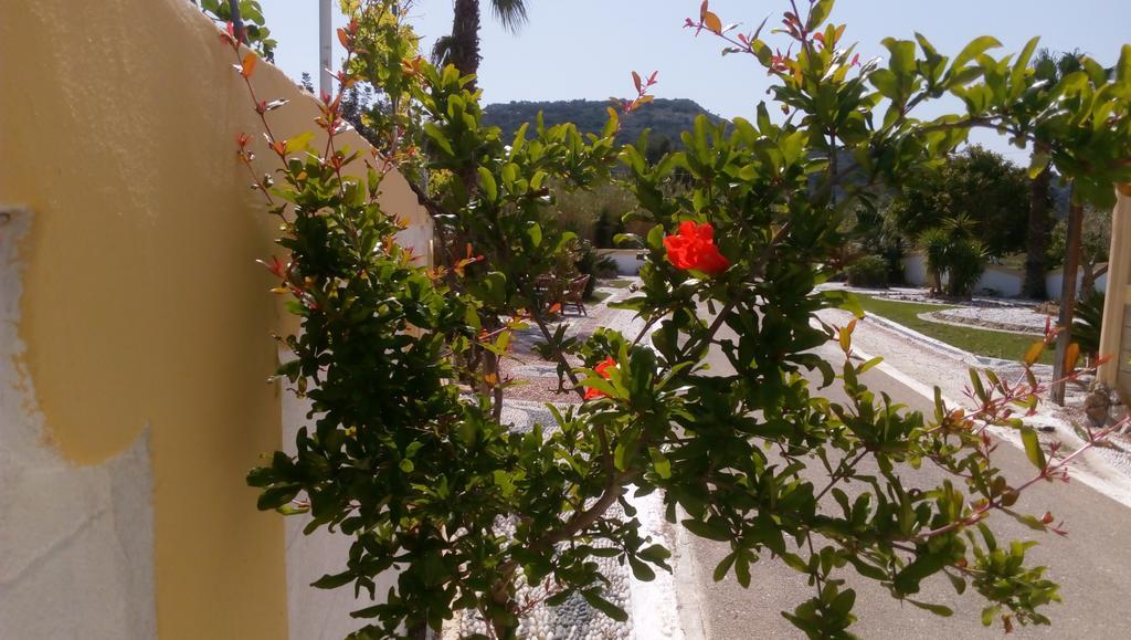 Mosaic Gardens Apartment Faliraki Bagian luar foto